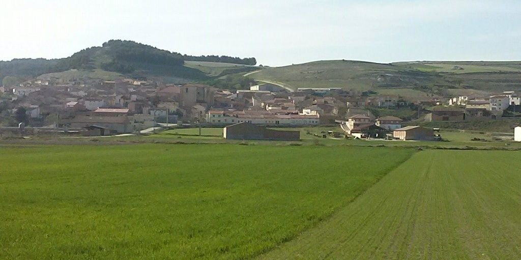 Nuriidela's profile banner image
