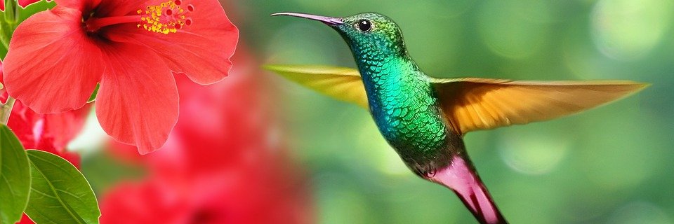 patilonpe's profile banner image