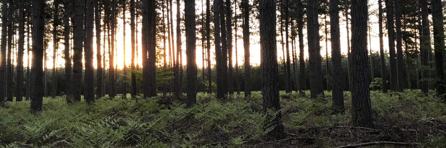 maljo_02's profile banner image