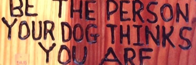 PawzPeace's profile banner image