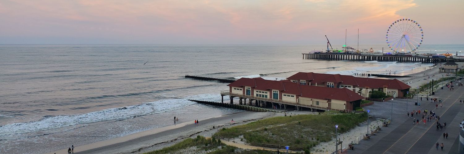 phoenix rising banner