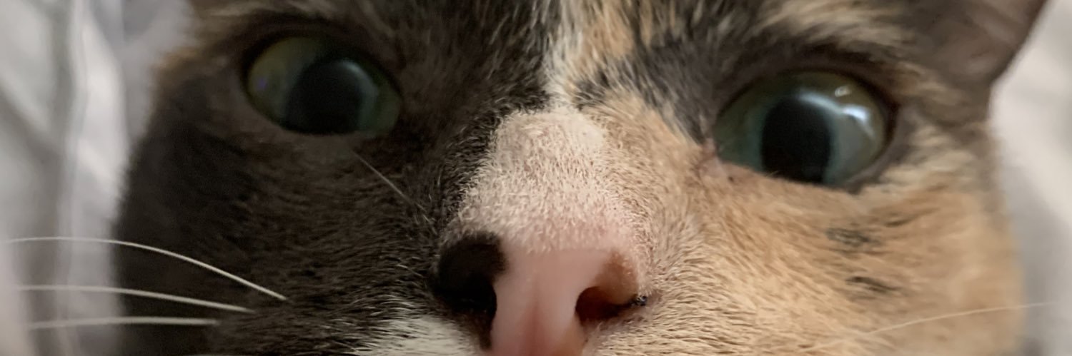 svgwoods's profile banner image