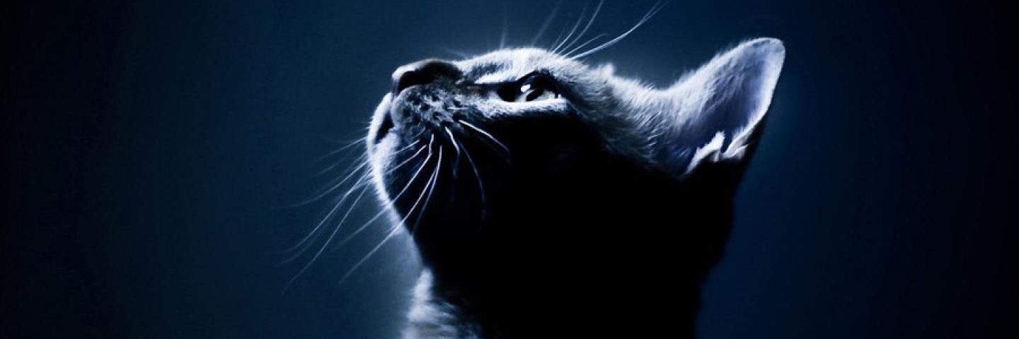 hanzjambu93's profile banner image