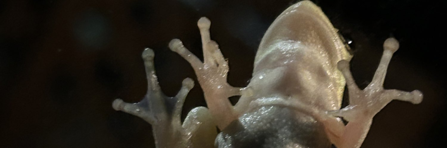 aliviaannlong's profile banner image