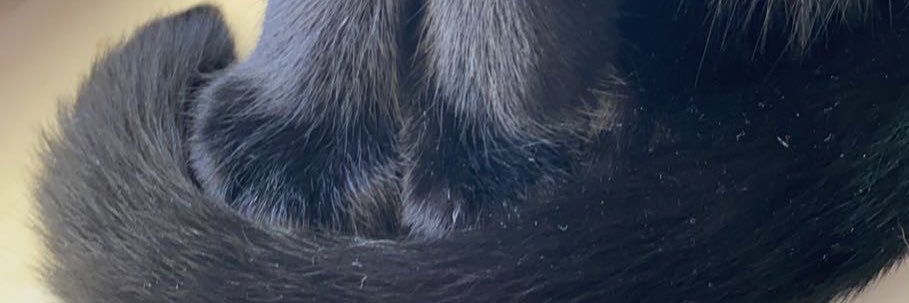 devynevans7's profile banner image