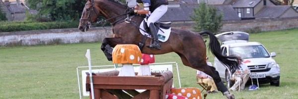 harrydzenis Profile Banner