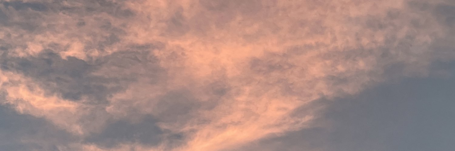 RileyTribe's profile banner image