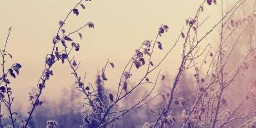 LICIALOVES's profile banner image
