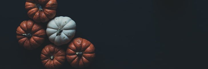 CEOLegzz's profile banner image