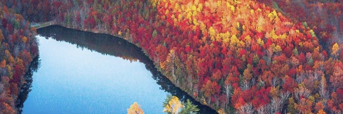 ibnysf1's profile banner image