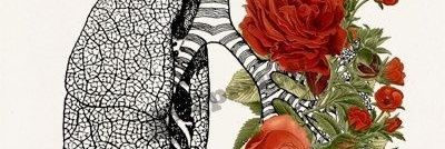 alekledres's profile banner image