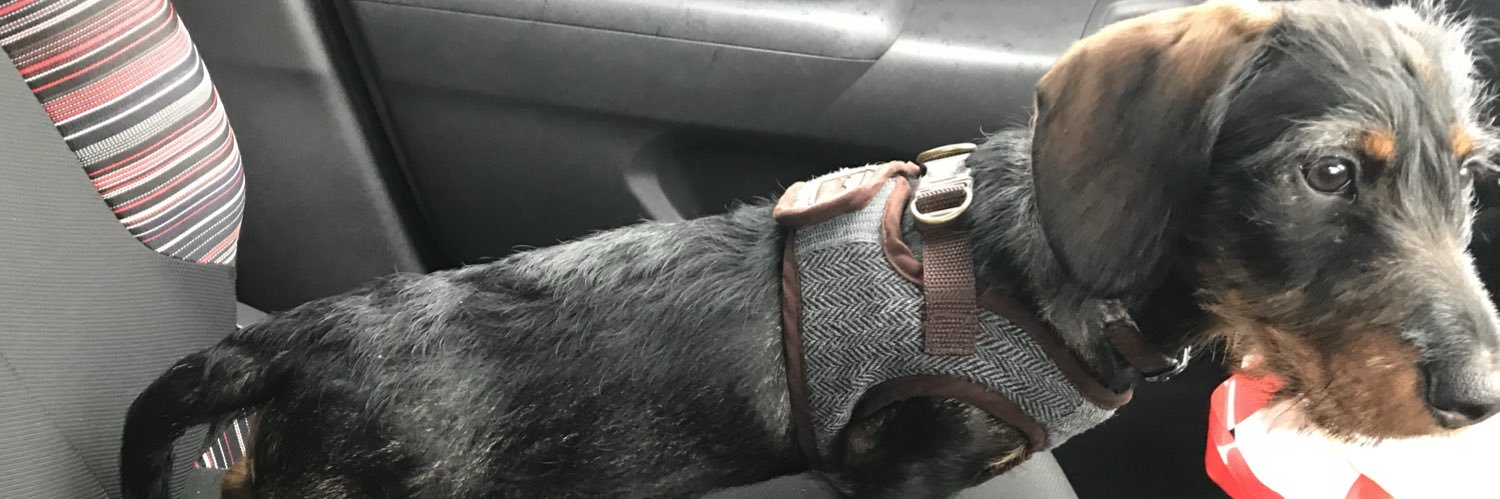iamscottedmonds's profile banner image