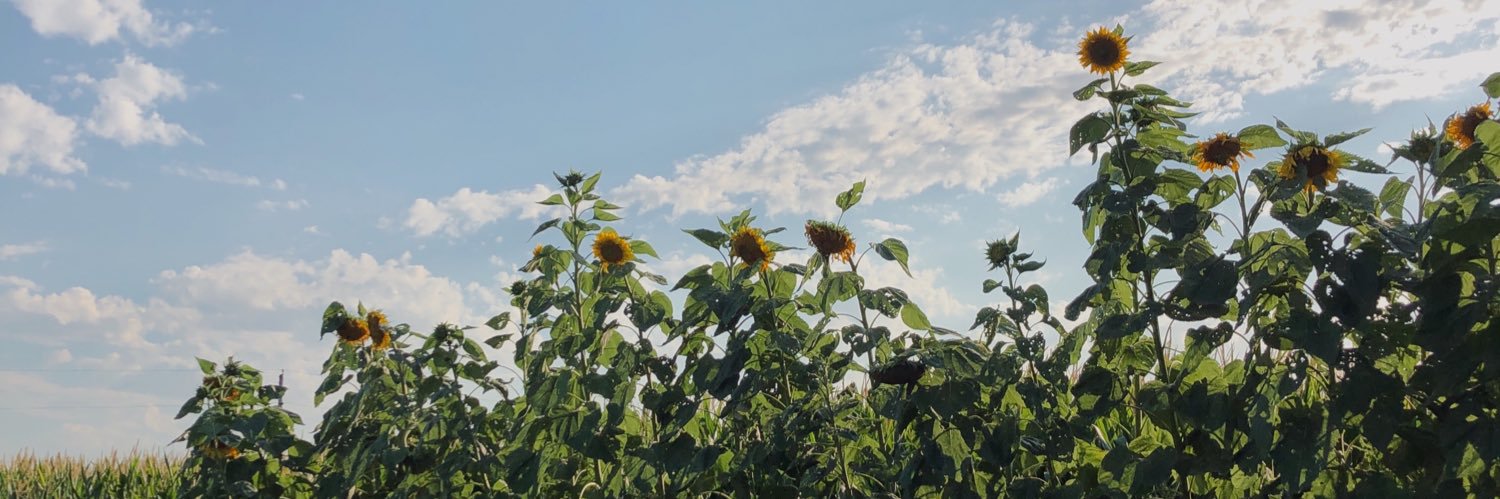mollye_hawk's profile banner image