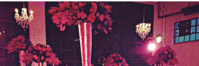 Stephanie La Grange banner