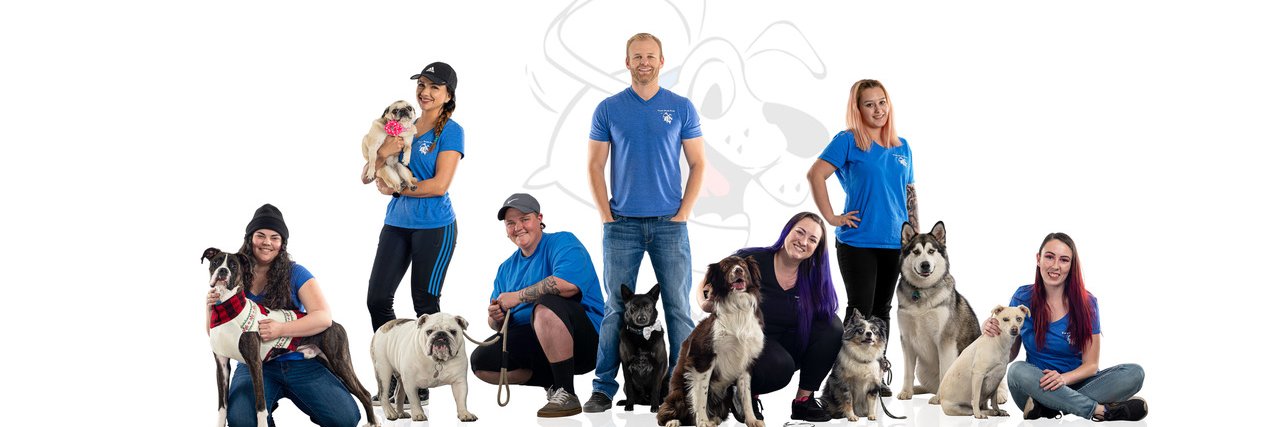 TrainWalkPoop's profile banner image