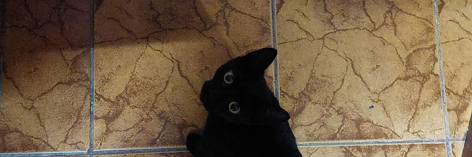 ChaMatth's profile banner image