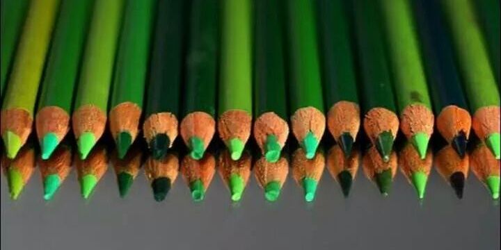 GreenCandidates's profile banner image