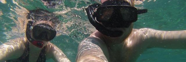 ZoeKing2's profile banner image