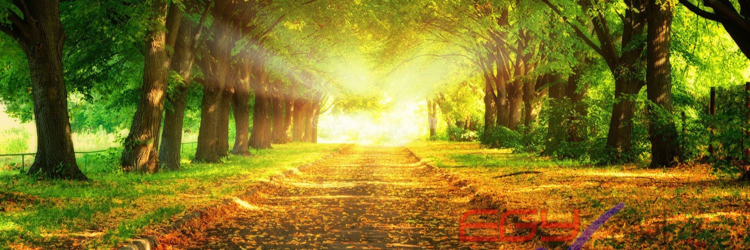 09Muneer's profile banner image