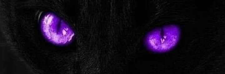 pimpxdaddy22's profile banner image