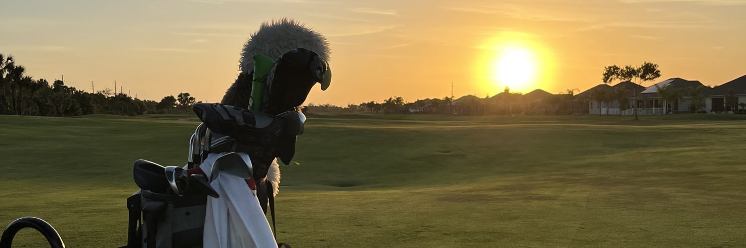 DakillaLou's profile banner image