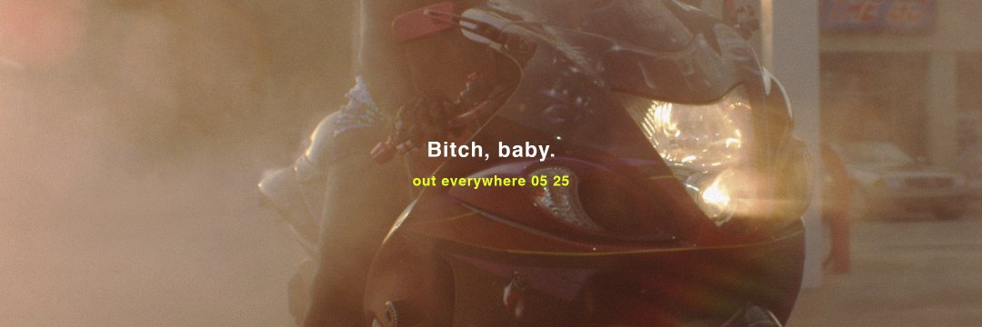 petfangs's profile banner image