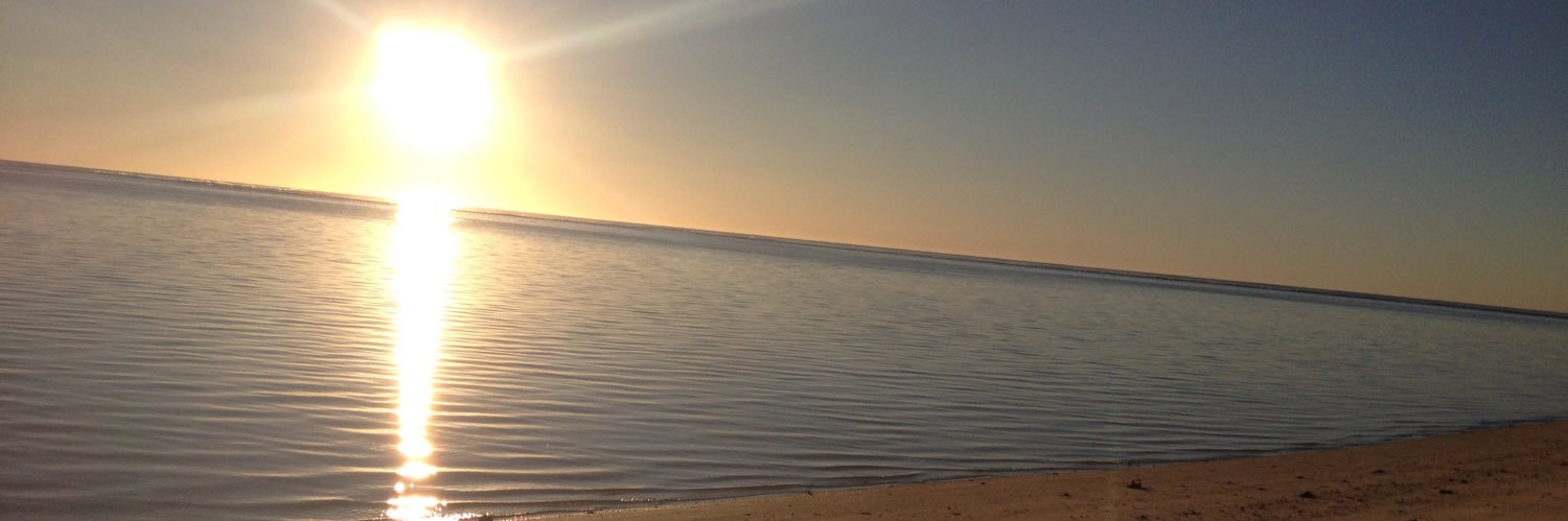 petethommo's profile banner image
