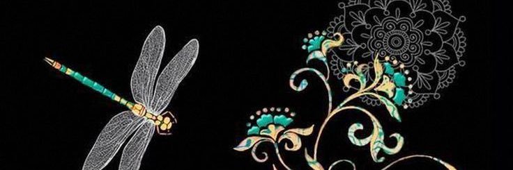 cailin banner
