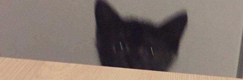 miniboo banner