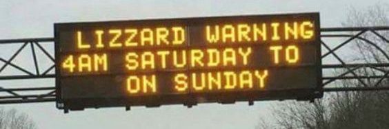 Blizzard Lizzard banner