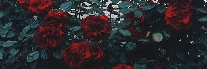 sasukemb77's profile banner image