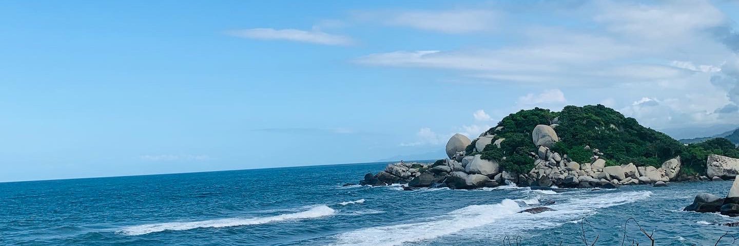 sofiamunerarpo's profile banner image