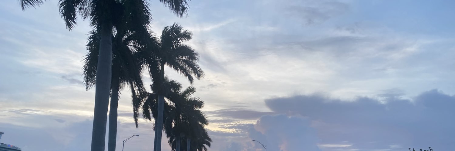 MaxMedrano19's profile banner image