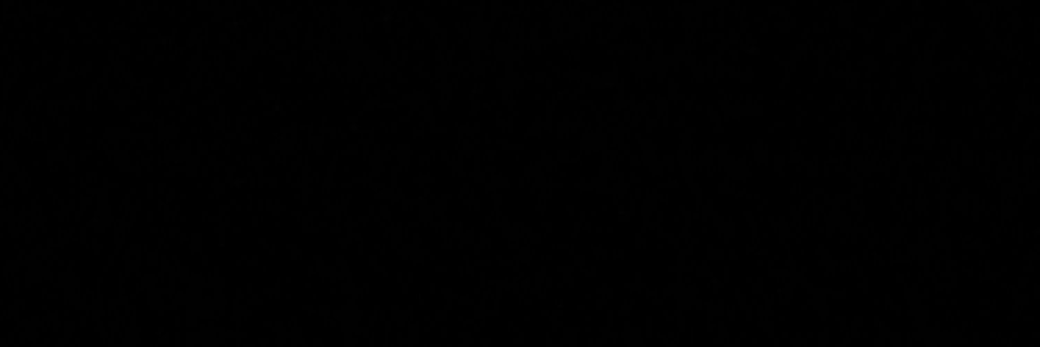 laanuskii's profile banner image