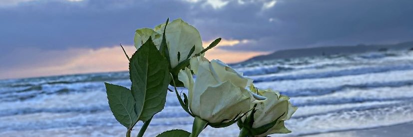 Chloe Leonard banner