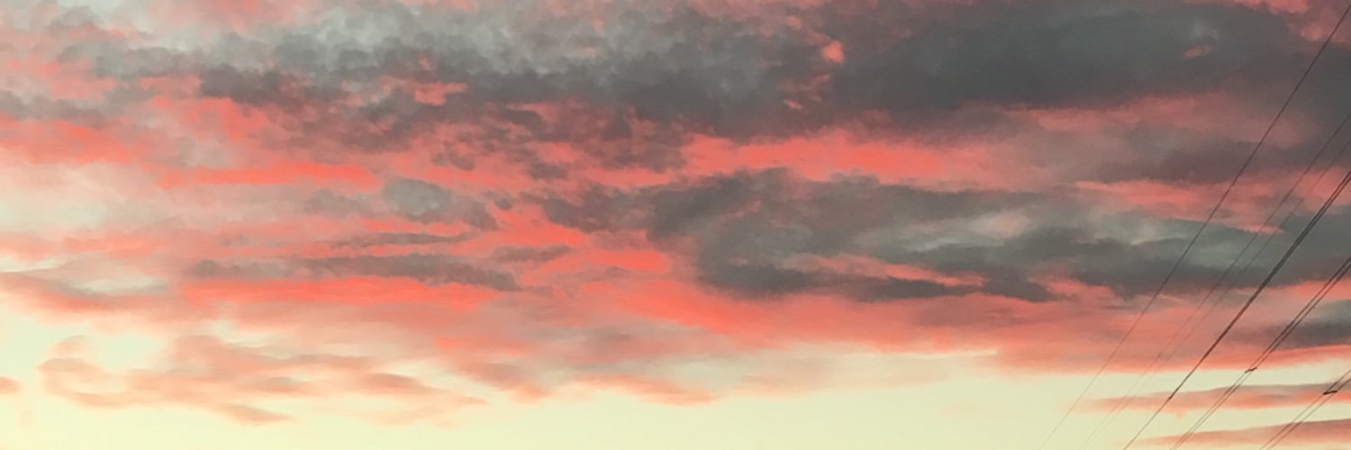alicatz91's profile banner image