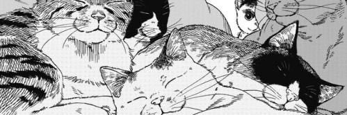 winchsashka's profile banner image