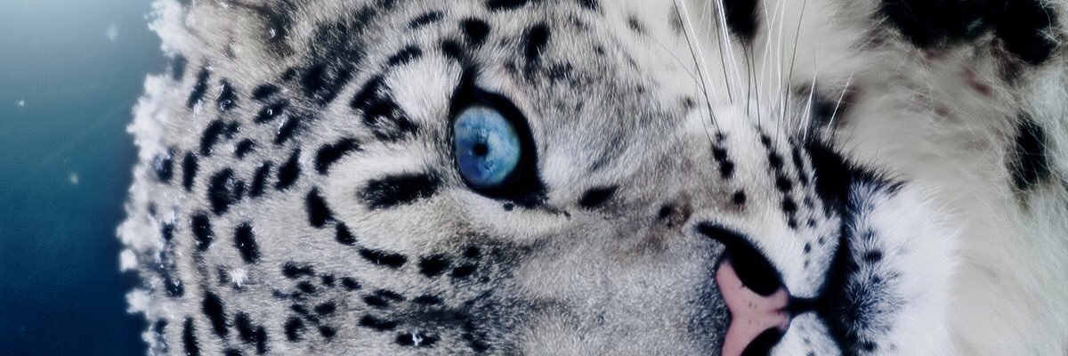sarooush94's profile banner image