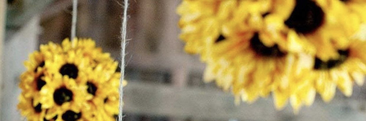 NMasterson's profile banner image