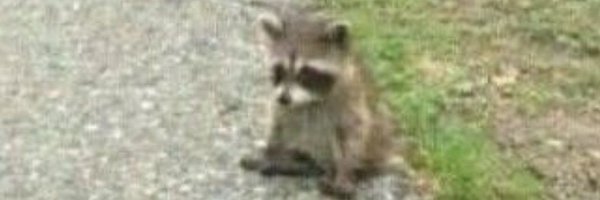 less_vission Profile Banner