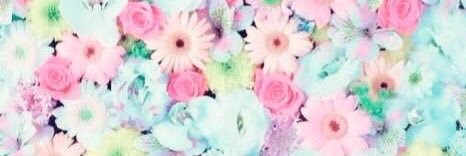 kannahashimt's profile banner image