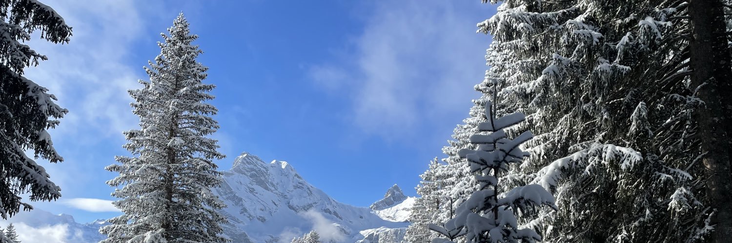 Stephan Hess 🇨🇭 banner