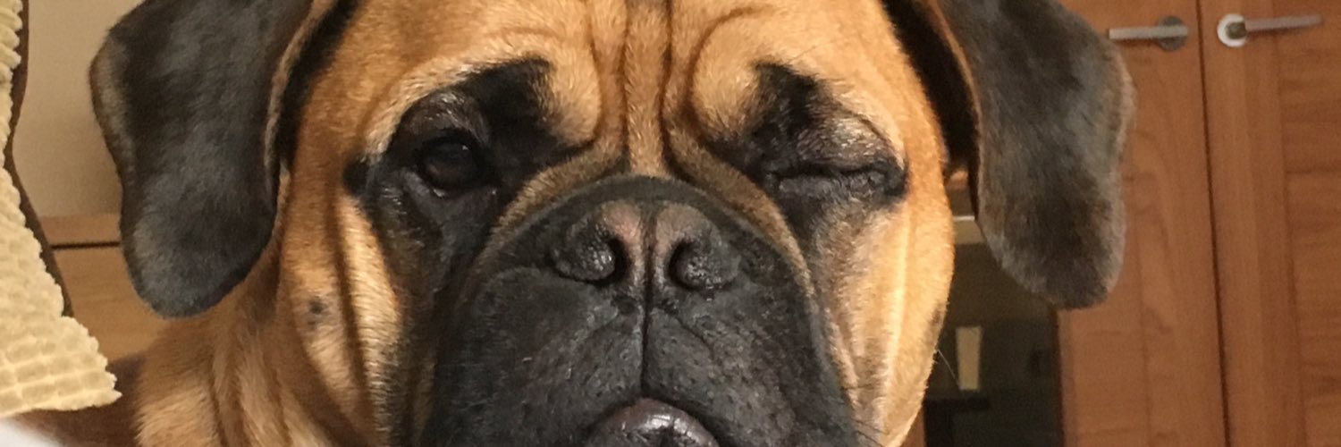 garyhumphris's profile banner image