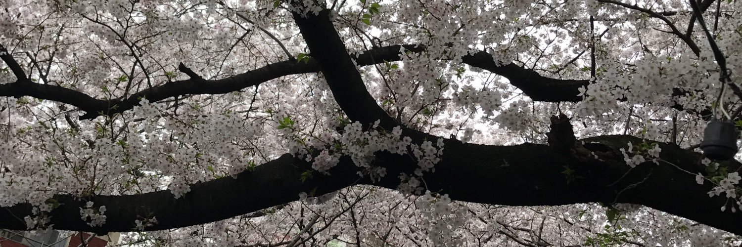 たけだ banner