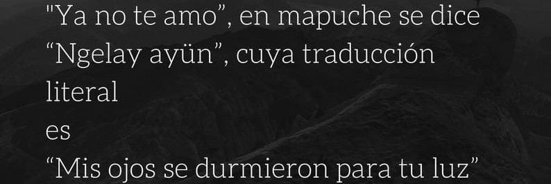 Clau 🖤 banner