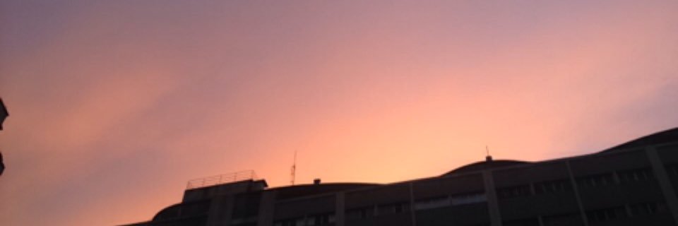 leticiamavec's profile banner image