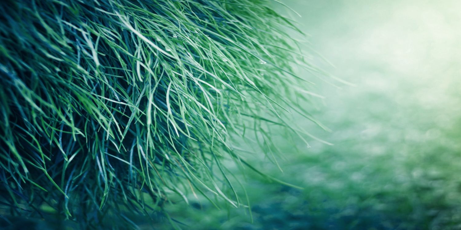 madseen88's profile banner image