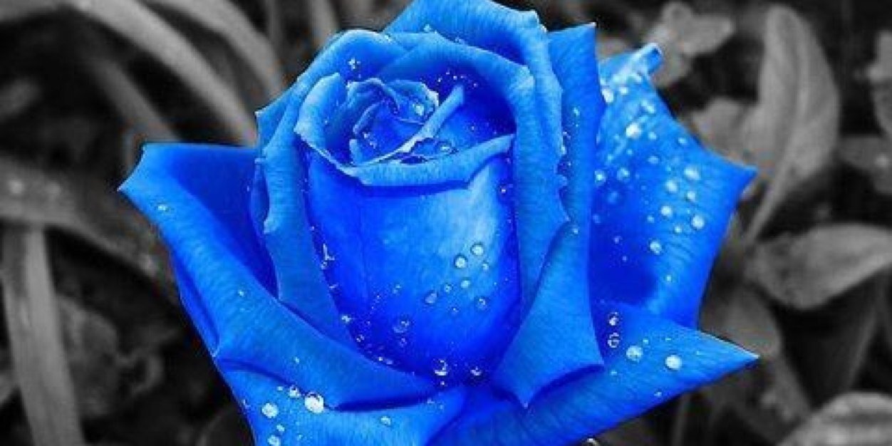tinamac55's profile banner image
