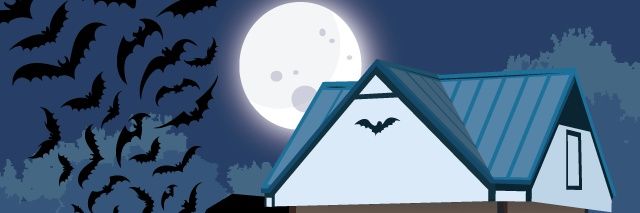 Kartik Cherabuddi MD 🆔️🌍 banner