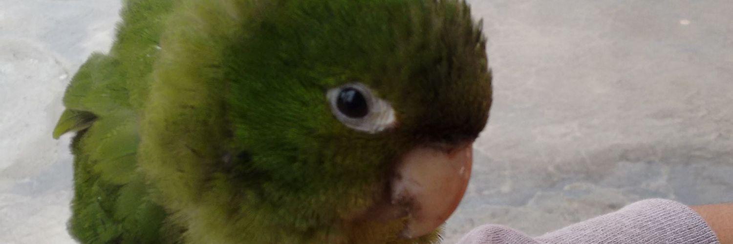 JeanPaul09F's profile banner image